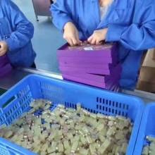 廣州捷美電子儀器廠 專業(yè)賦能美容院，打造科技美膚新體驗